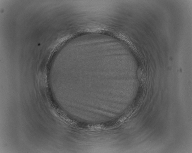 X0000071780587200607211559