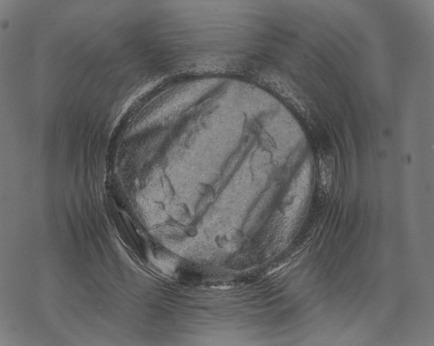 X0000071780588200607211559