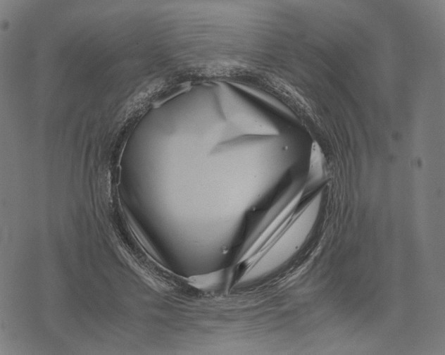 X0000071780589200607211559