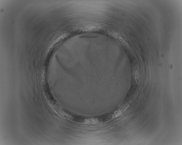 X0000071780591200607211559