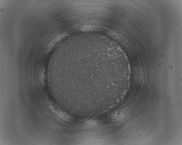 X0000071780592200607211559