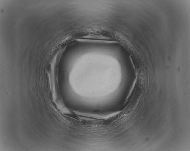 X0000071780593200607211559