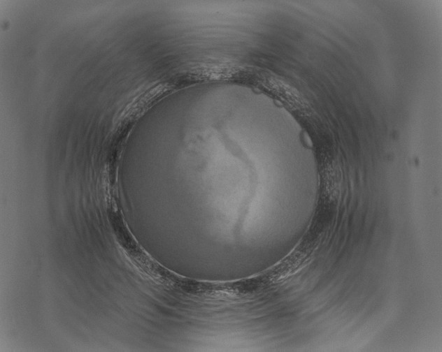 X0000071780594200607211559