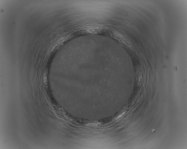 X0000071780595200607211559