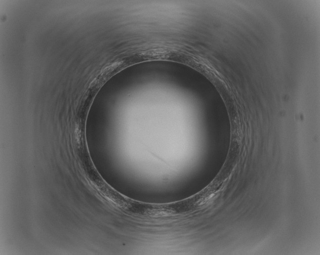 X0000071780597200607211559