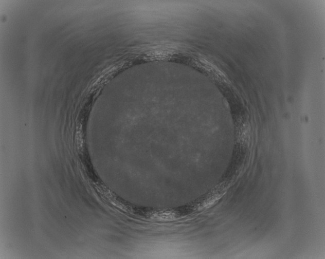 X0000071780599200607211559