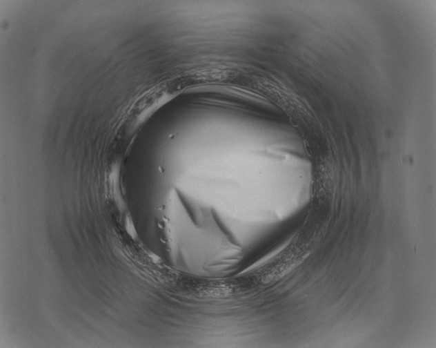 X0000071780600200607211559