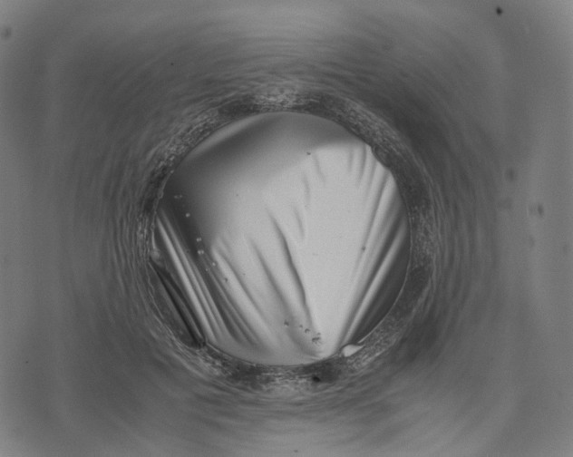 X0000071780601200607211559