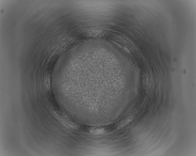 X0000071780602200607211559