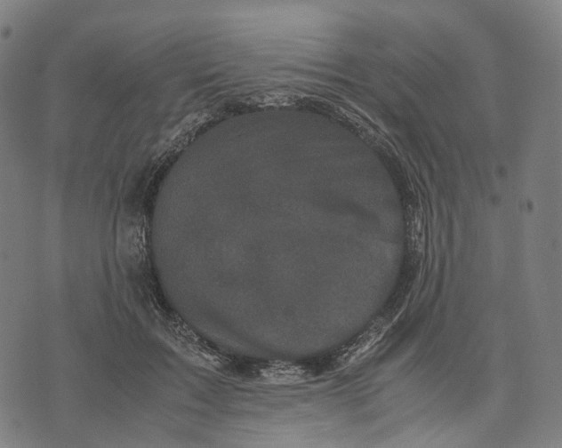 X0000071780603200607211559