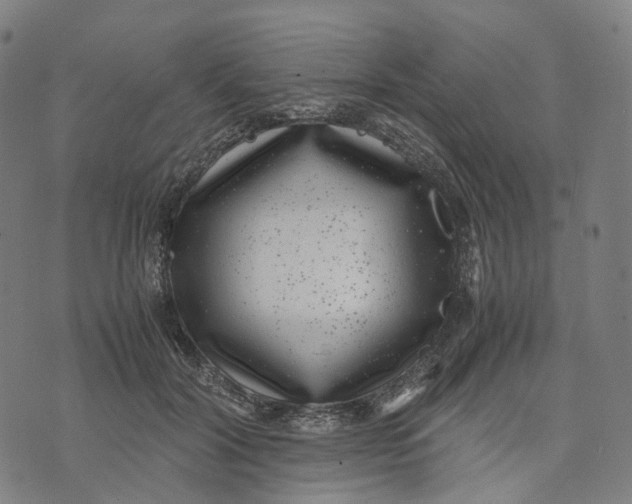 X0000071780604200607211559