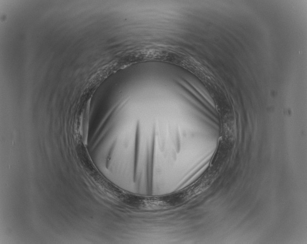 X0000071780605200607211559