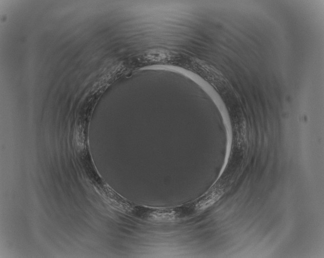 X0000071780606200607211559