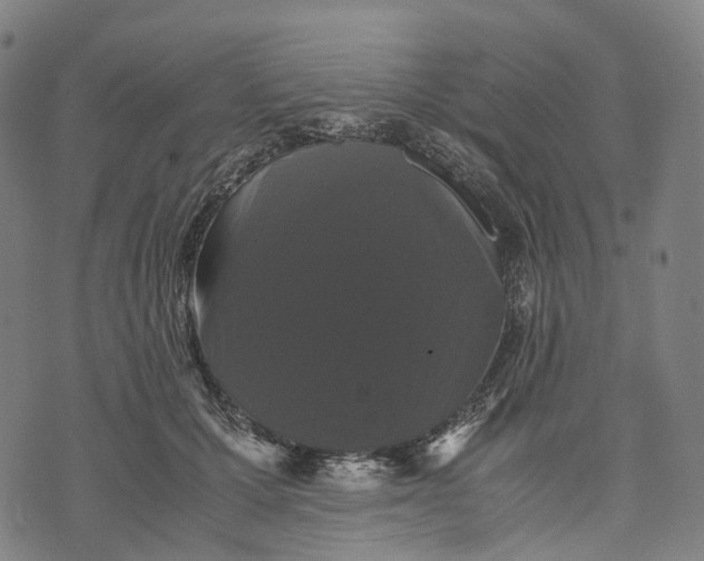 X0000071780607200607211559