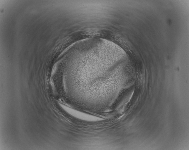 X0000071780609200607211559