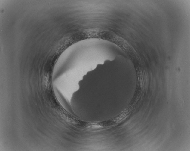 X0000071780610200607211559