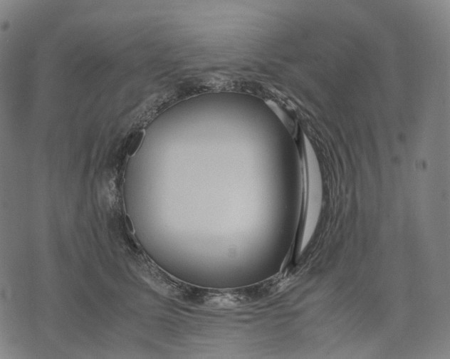 X0000071780611200607211559