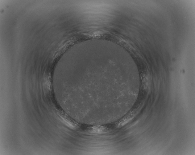 X0000071780612200607211559