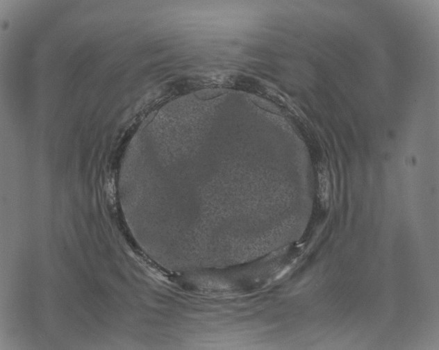 X0000071780613200607211558