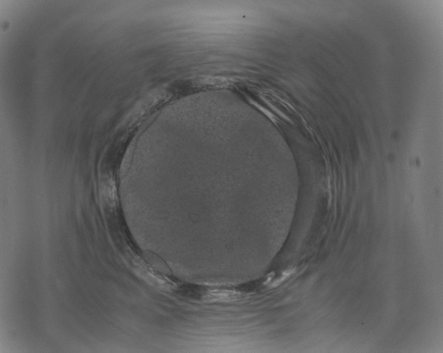 X0000071780617200607211558