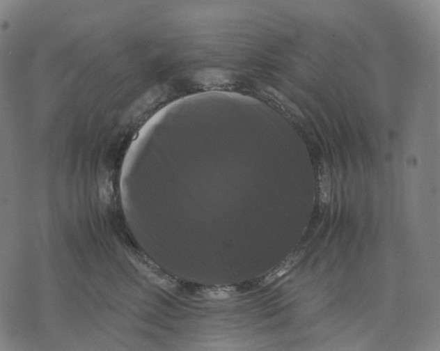 X0000071780618200607211558