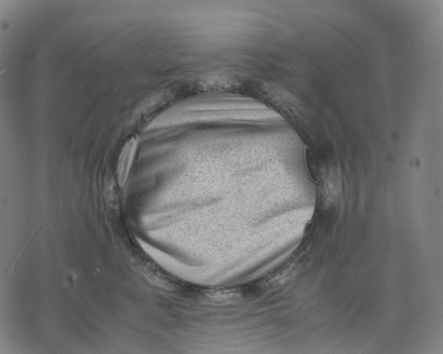 X0000071780619200607211558