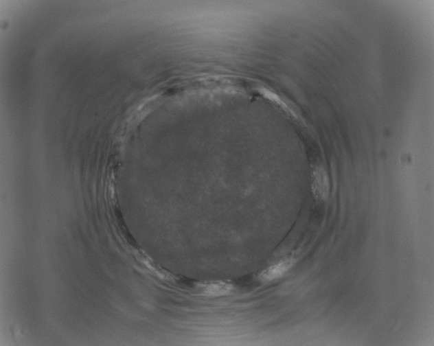 X0000071780621200607211558