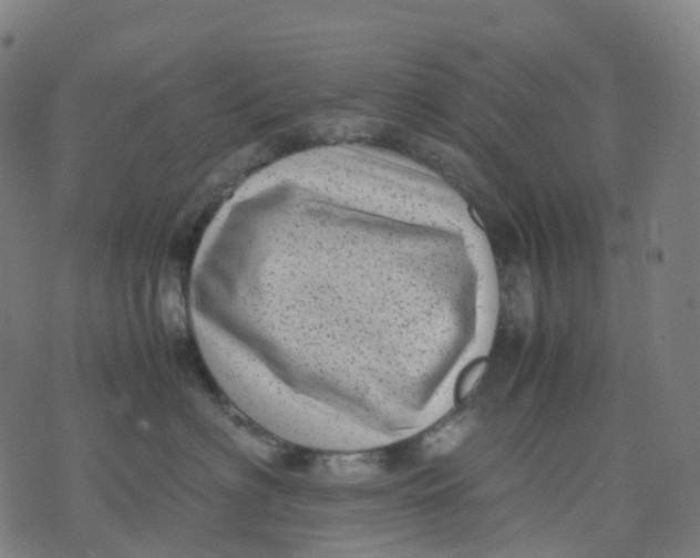 X0000071780622200607211558