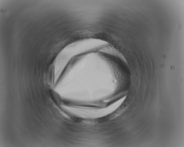 X0000071780624200607211558