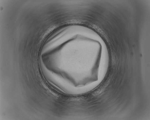 X0000071780625200607211558