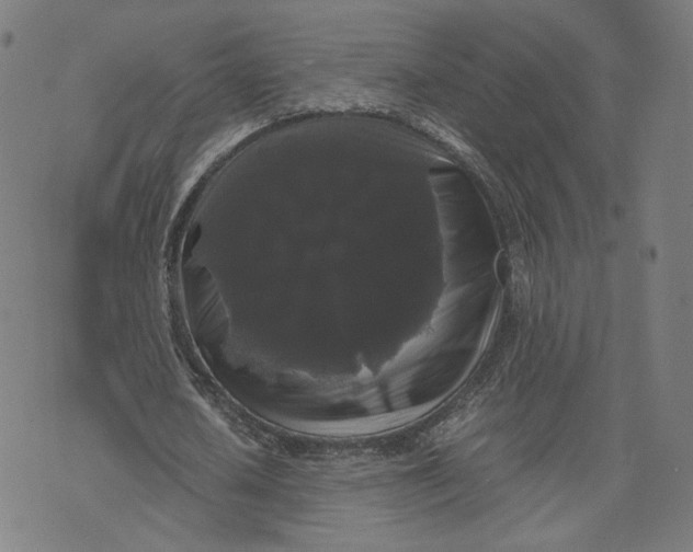 X0000071780626200607211558