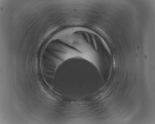 X0000071780627200607211558