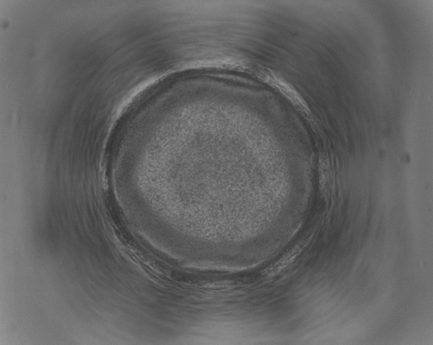 X0000071780628200607211558