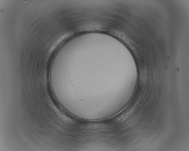 X0000071780629200607211558