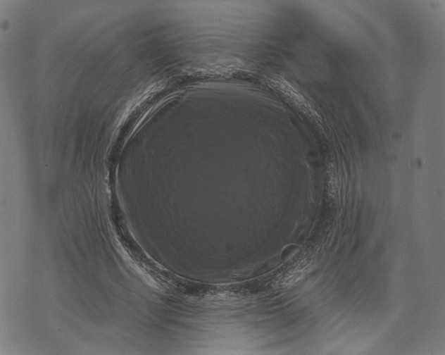 X0000071780634200607211558