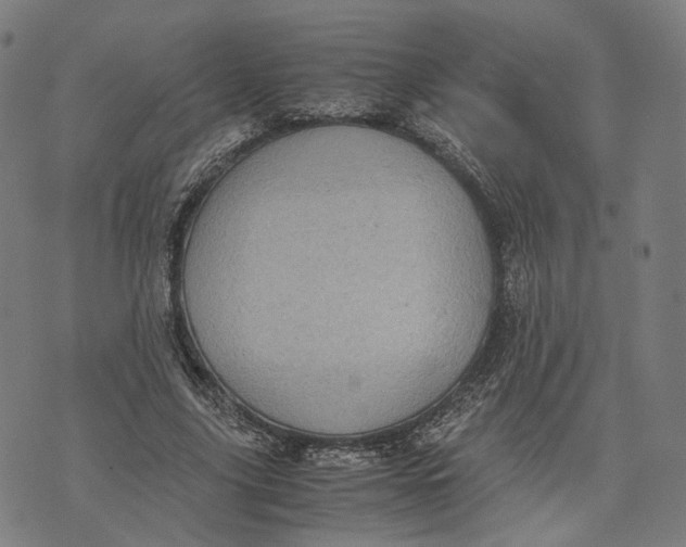 X0000071780635200607211558