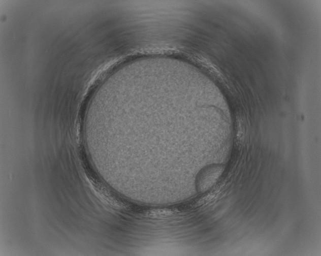 X0000071780636200607211558