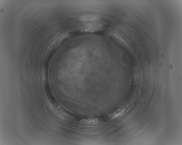 X0000071780639200607211558