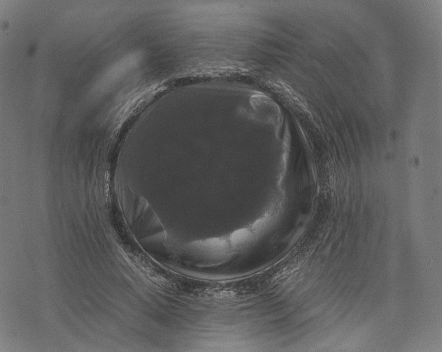 X0000071780640200607211558