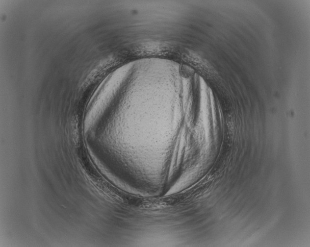 X0000071780642200607211558