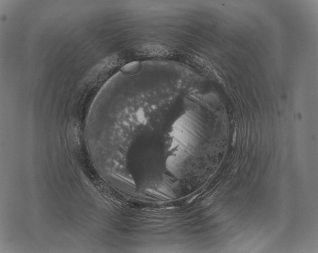 X0000071780643200607211558