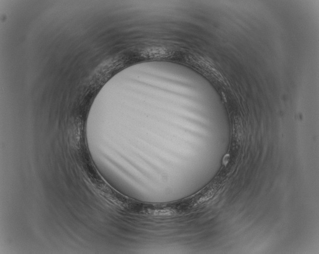 X0000071780645200607211558