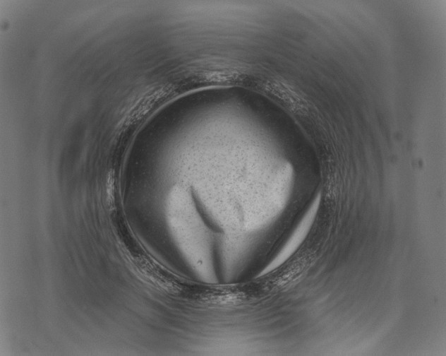 X0000071780646200607211558