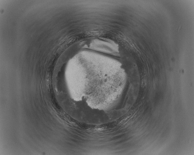 X0000071780647200607211558