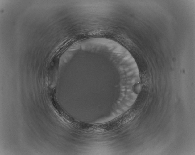 X0000071780648200607211558