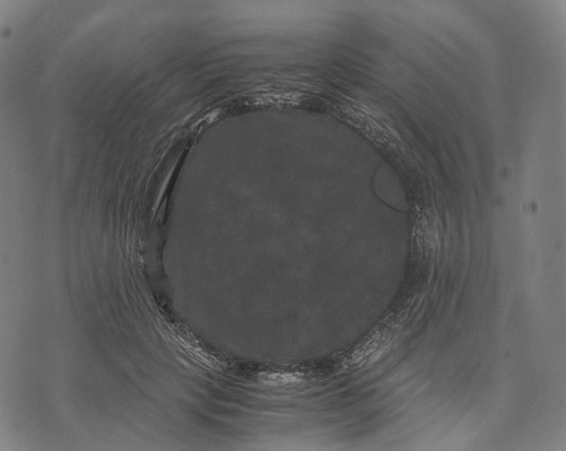 X0000071780649200607211558