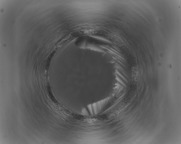 X0000071780650200607211558