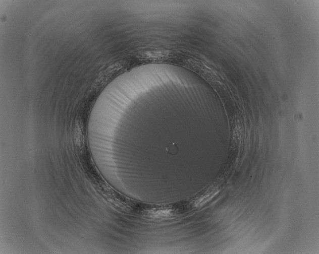 X0000071780651200607211558