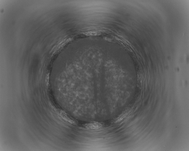 X0000071780652200607211558