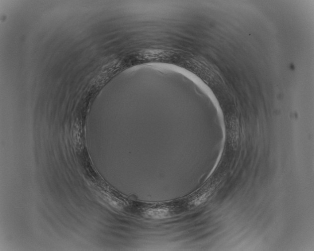 X0000071780653200607211558